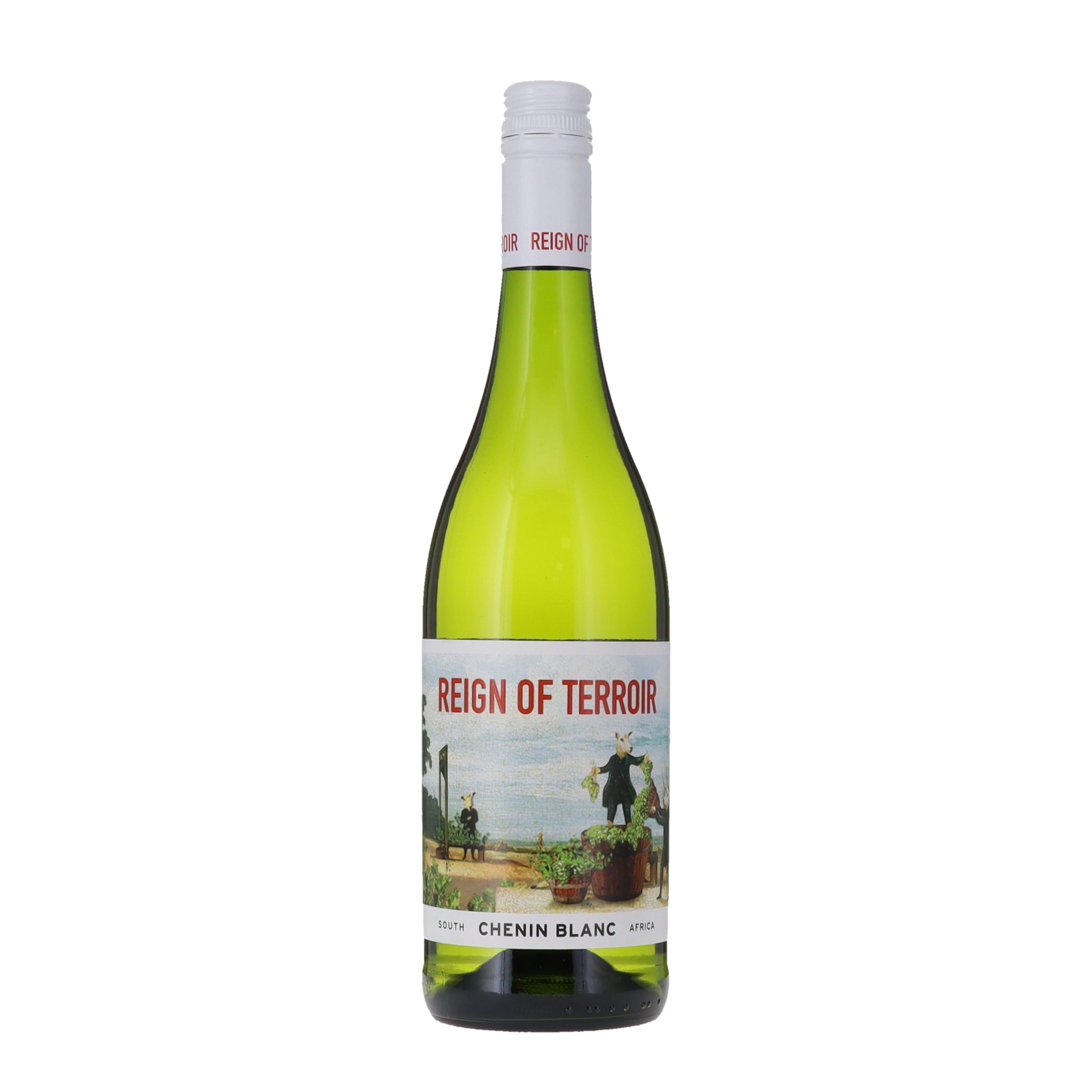 REIGN OF TERROIR CHENIN 75X6